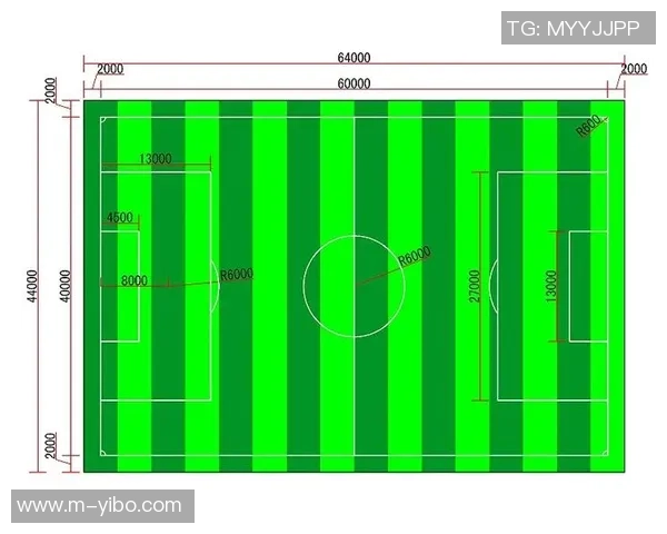 标准七人制足球场尺寸及其对比赛的影响分析与探讨