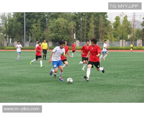 畅享雨燕直播足球壁纸带来的激情与活力，尽情感受足球的魅力与乐趣