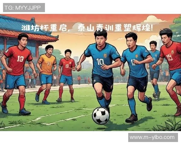 足球盛宴世界杯的荣耀与激情交织让我们共同见证历史时刻